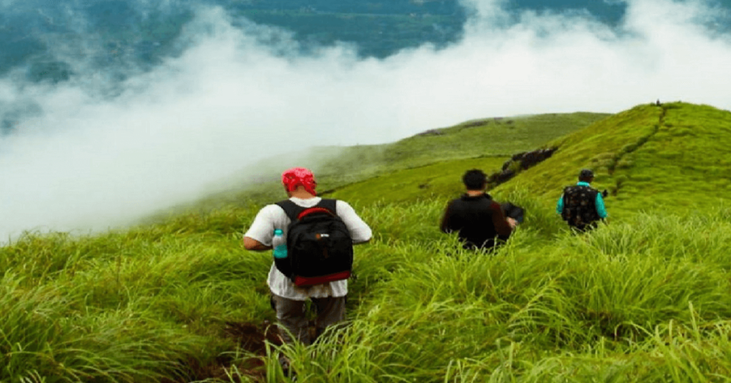 Wayanad Trekking